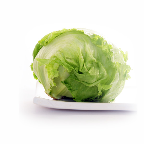 lechuga